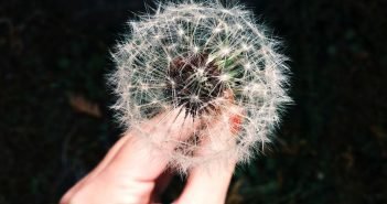 Photography Tips From Wai Su